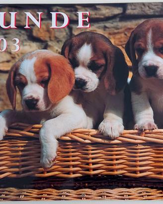 Calendario illustrato cani Hunde 2003 35 x 28 cm