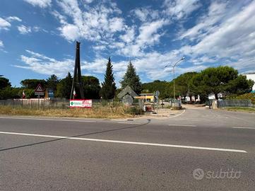 NEGOZIO A TERRANUOVA BRACCIOLINI