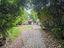 Immagine 26