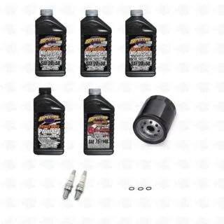 Kit tagliando Olio sintetico Spectro 06-17 Dyna, 0