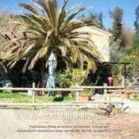 Azienda Agricola Riparbella [A4223647]