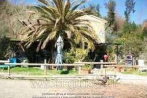 Azienda Agricola Riparbella [A4223647]