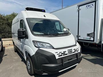 Fiat Ducato LH2 multijet 120 cella frigorifero