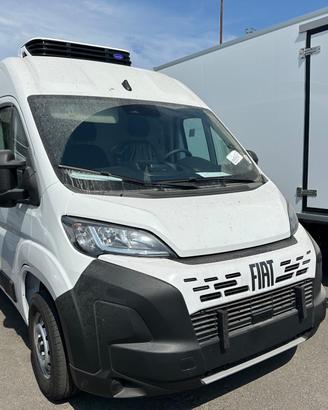 Fiat Ducato LH2 multijet 120 cella frigorifero