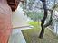 Immagine 14