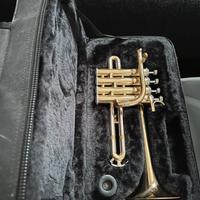 Trombino Comet in Sib|La