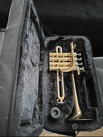 Trombino Comet in Sib|La