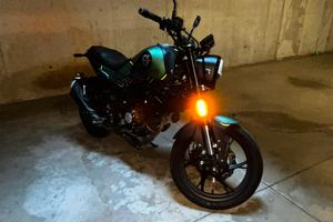 Leoncino Benelli