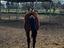 Immagine 4