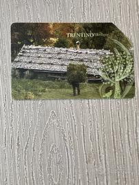 Scheda telefonica Trentino Alto Adige