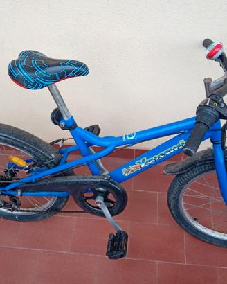 bicicletta 20