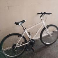 Bici Mountain bike