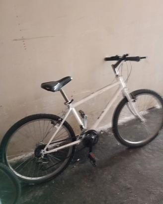 Bici Mountain bike