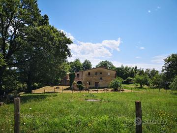 Porzione di colonica da ristrutturare