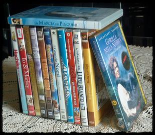 13 DVD STORIE, LEGGENDE E DOCUMENTARI DI ANIMALI