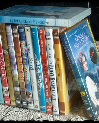 13 DVD STORIE, LEGGENDE E DOCUMENTARI DI ANIMALI