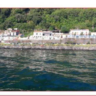 Attività  Commerciale - Acireale