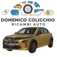 RICAMBI USATI Lancia Ypsilon 2025