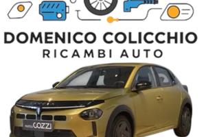 RICAMBI USATI Lancia Ypsilon 2025