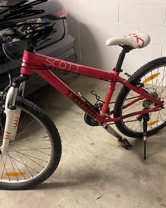 Mtb e bici da passeggio