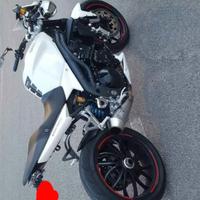 scarico Zard Triumph Speed triple 08/09