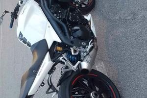 scarico Zard Triumph Speed triple 08/09