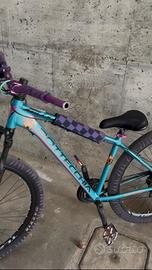 Bici Bottecchia modificata