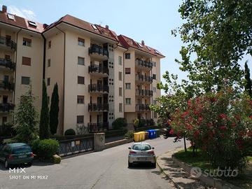 Bilocale Cavita - Mater Domini