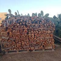 LEGNA STAGIONATA DI EUCALIPTO