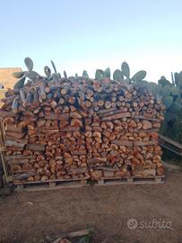 LEGNA STAGIONATA DI EUCALIPTO