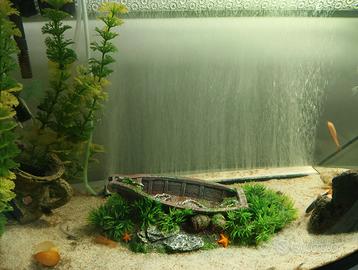 Acquario 80lt