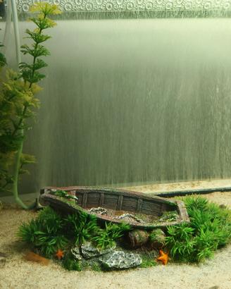 Acquario 80lt