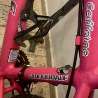 MTB CANNONDALE”CAFFEINE”HANDMADE USA (RUOTA 26’