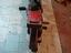 Immagine 3