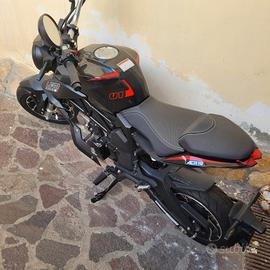 lem brutus