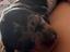 Immagine 3
