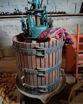 Torchio vino