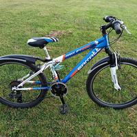 bicicletta bambino ragazzo