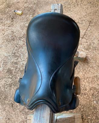 sella dressage 