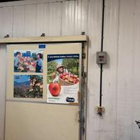 CELLA FRIGORIFERA POSITIVA