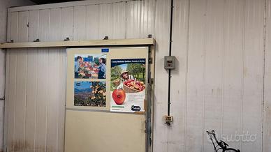 CELLA FRIGORIFERA POSITIVA