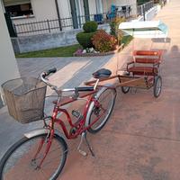 bici con carrettino