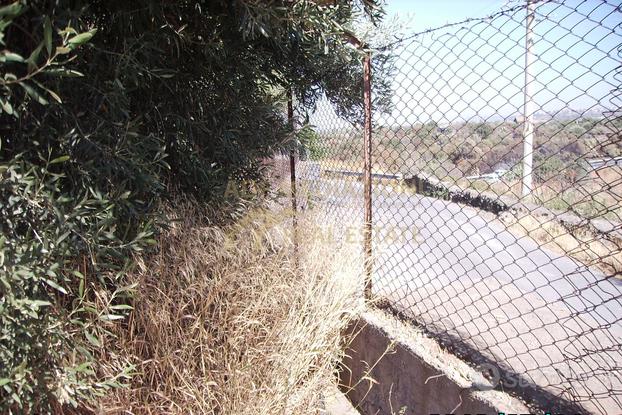 Terreno Agricolo A 2 Km