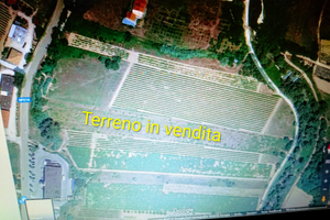 Terreno Villamagna (CH)