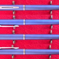 Stilografica Waterman Allure (F)