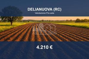 Immobile in asta di 4770 m² a Delianuova