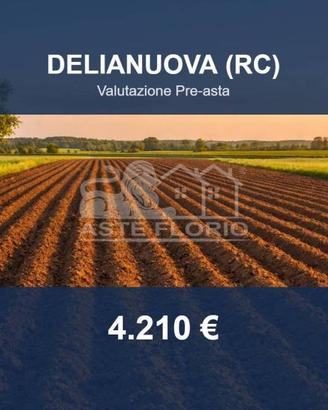 Immobile in asta di 4770 m² a Delianuova