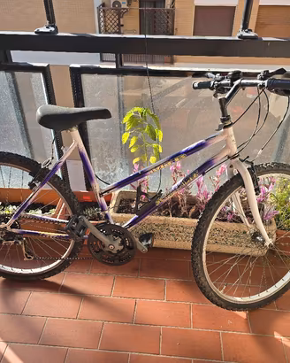 Bicicletta MTB 26" Vintage cambio Shimano