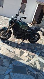 Benelli leoncino 800