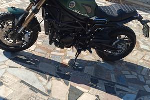 Benelli leoncino 800